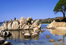 关于诺粉到底有多恨小俞的信息