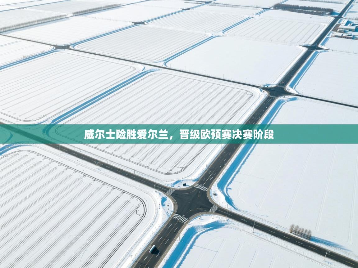 威尔士险胜爱尔兰，晋级欧预赛决赛阶段  第1张