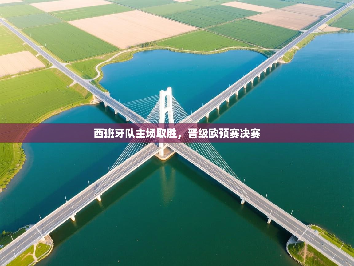 西班牙队主场取胜，晋级欧预赛决赛  第1张